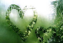 开云体育在线-法拉利力克迈凯伦，汉密尔顿惊艳四座