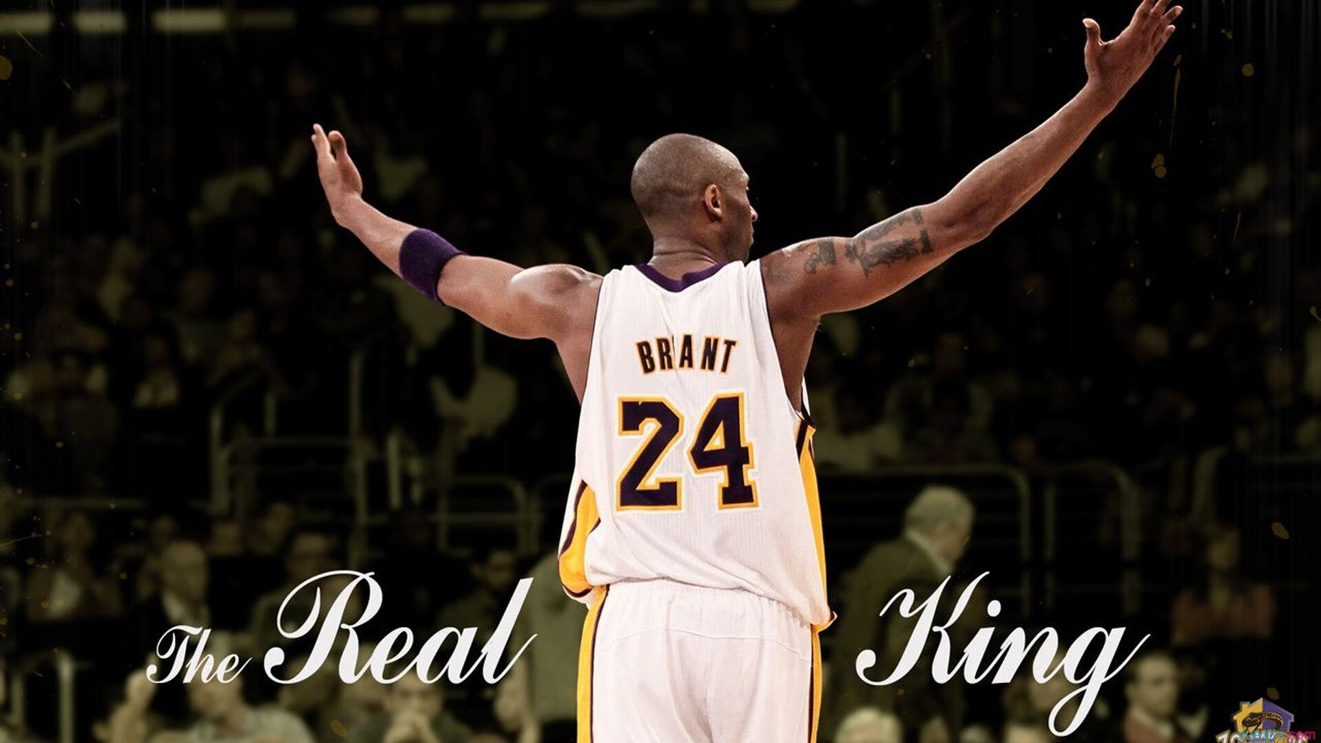 开云APP-围场惊变，红牛二队掀翻卫冕冠军，拉塞尔惊世制胜